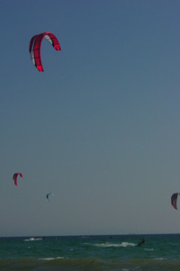 331281 octets